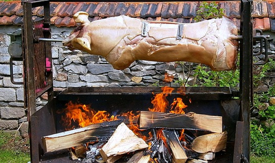 cochon-lait